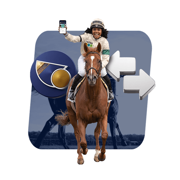Interbet horses